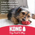 KONG Dental Sticks Dog Toy, Red