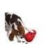 KONG Wobbler Dog Toy, Red
