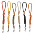 M-Pets Reflecto Leash for Dog, Assorted