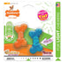 Nylabone Mini Moderate Dog Chew Twin Pack