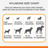 Nylabone Meaty Flavor Medley Barbell, Power Dog Chew
