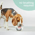 Nylabone Advanced Oral Care Liquid Tartar Remover for Dogs