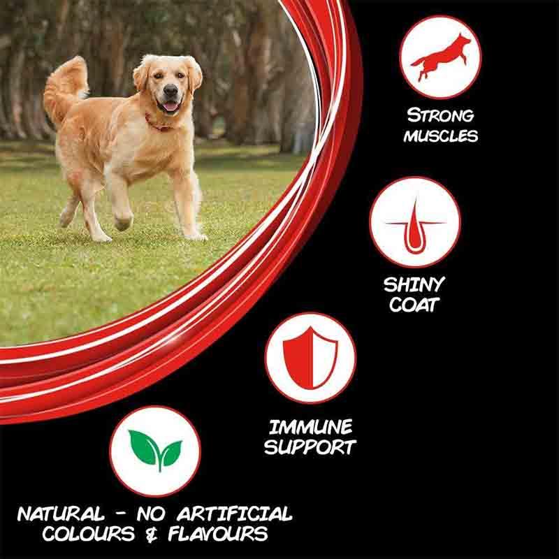 Purina Supercoat Adult Chicken Dry Dog Food