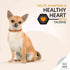 Purina Proplan Adult Small and Mini Breed Dry Dog Food