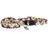Pawsindia Aztek Durable Colorful Collar and Leash Set for Dog