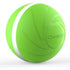 Pawsindia Cheerble Wicked Ball Dog Toy
