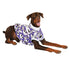 Pawsindia Skull T-Shirt For Dog, Purple
