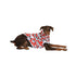 Pawsindia Skull T-Shirt For Dog, Red