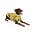 Pawsindia Donut T-Shirt For Dog, Yellow