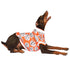 Pawsindia Blossom T-Shirt For Dog, Orange