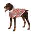 Pawsindia Blossom T-Shirt For Dog, Orange