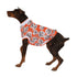 Pawsindia Blossom T-Shirt For Dog, Orange