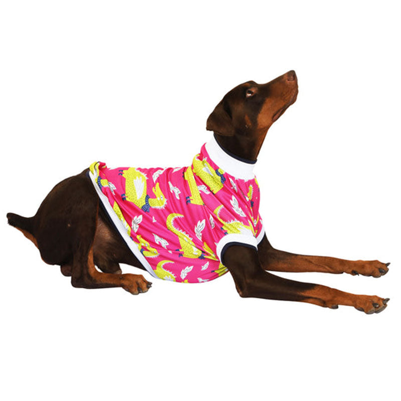 Pawsindia Dracarys T-Shirt For Dog, Pink