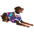 Pawsindia Clowder T-Shirt For Dog, Blue