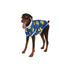 Pawsindia Candyman T-Shirt For Dog, Blue