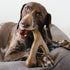 Benebone Wishbone Chicken Toy for Dog