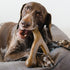 Benebone Wishbone Peanut Toy for Dog