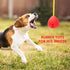 Pawsindia, Bomb Durable Treat Red Color Toy for Dog