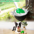 Pawsindia, THE MIGHTY TOAD Green Color Toy for Dog
