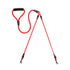 Pawsindia, Dual leash Color for Dog