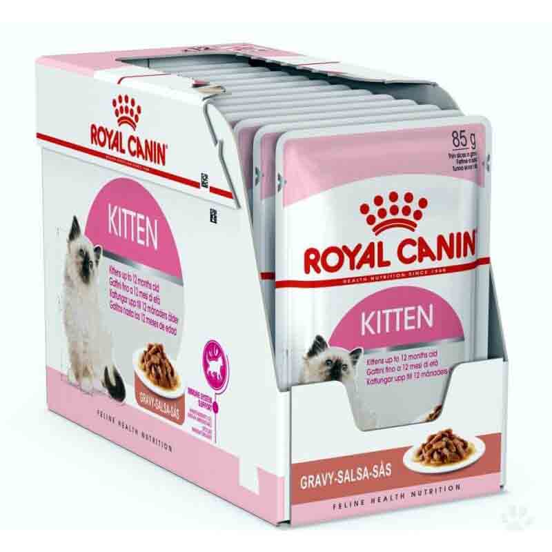 Royal Canin Kitten Wet Cat Food
