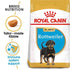 Royal Canin Rottweiler Puppy Dry Dog Food