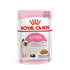 Royal Canin Kitten Jelly Wet Cat Food