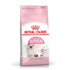 Royal Canin Second Age(36) Kitten Dry Cat Food, 4 kg