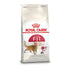 Royal_canin_regular_fit