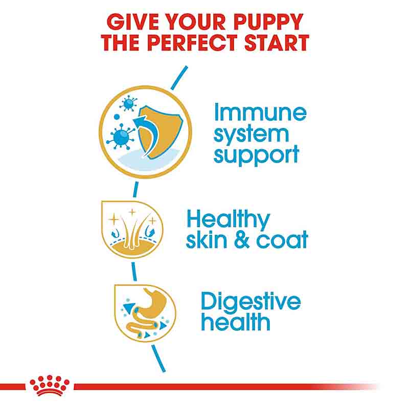 Royal Canin Golden Retriever Puppy Dry Dog Food