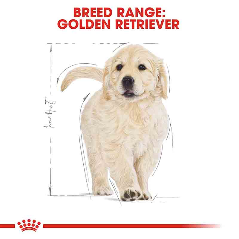 Royal Canin Golden Retriever Puppy Dry Dog Food