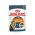 Royal Canin Intense Beauty Wet Cat Food, 85 g