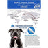 Gnawlers Dent Defense Anti Bacterial, Dental Chew Bone for Dogs, Medium, 525 g