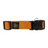 GEARBUFF Classic Collar for Dogs, Golden