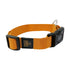 GEARBUFF Classic Collar for Dogs, Golden