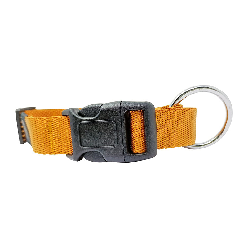 GEARBUFF Classic Collar for Dogs, Golden