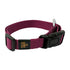 GEARBUFF Classic Collar for Dogs , Purple
