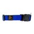 GEARBUFF Classic Collar for Dogs, Sky Blue