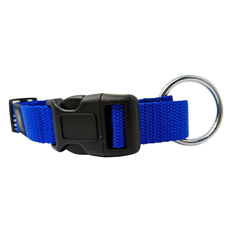 GEARBUFF Classic Collar for Dogs, Sky Blue