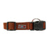 GEARBUFF Club Collar for Dogs , Orange & Black