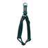 GEARBUFF Club Step-in Harness for Dogs , Black & Sky Blue