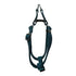 GEARBUFF Club Step-in Harness for Dogs , Black & Sky Blue