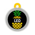 Taggie, Pineapple Pet Tag, Circle