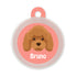 Taggie, Poodle Brown Dog Tag, Circle