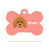 Taggie, Poodle Brown Dog Tag, Bone