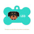 Taggie, Rottweiler Dog Tag, Bone