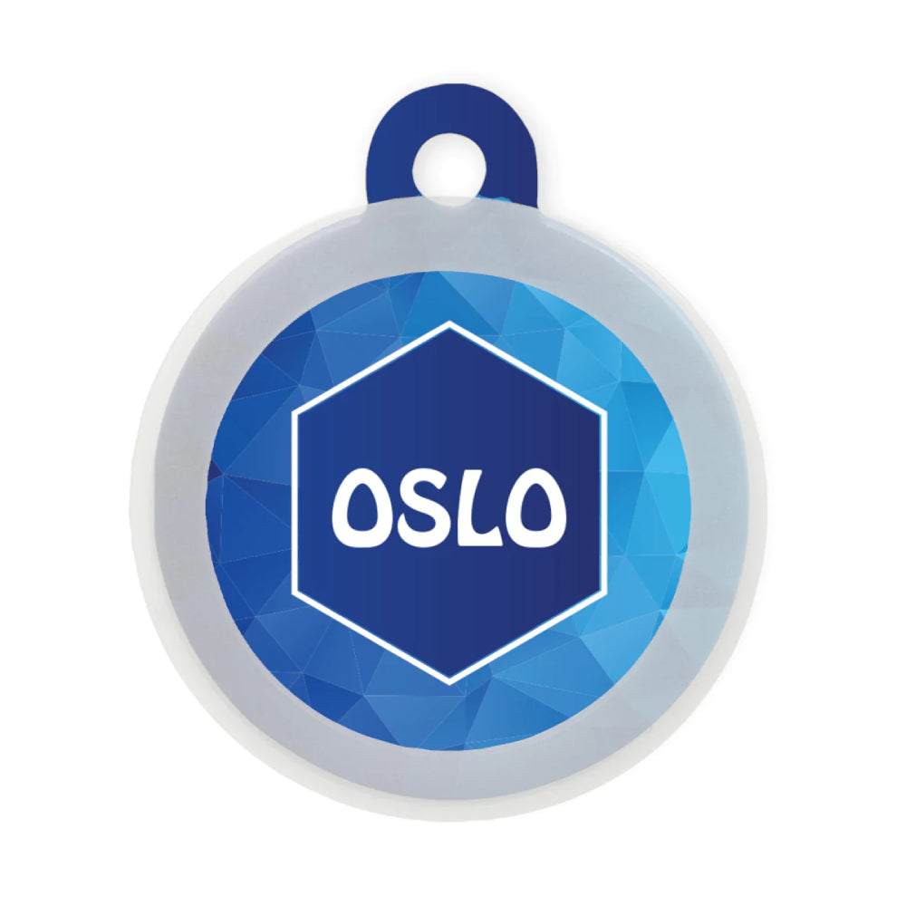 Taggie, Blue Geometroholic Pet Tag, Circle