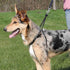 Trixie Lead'n'Walk Basic Training Harness