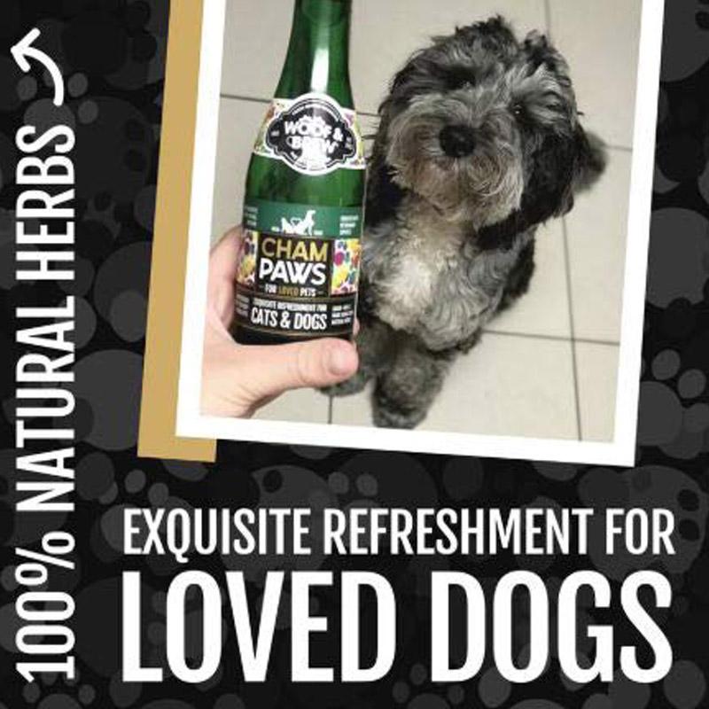 Woof & Brew Cham Paws Champagne for Cats and Dogs