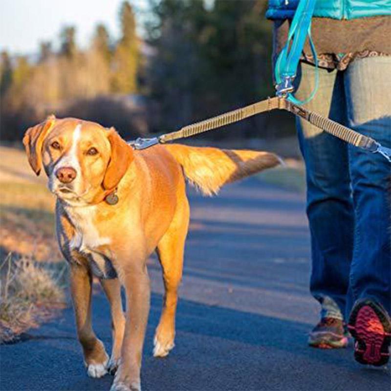 Ruffwear Dog Leash Double Dog Track Coupler